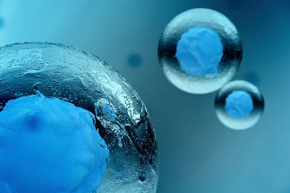 Regenerative Medicine Regenerative Medicine